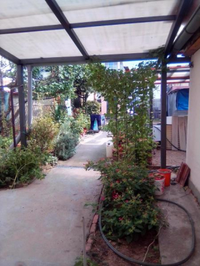 Home in flowers